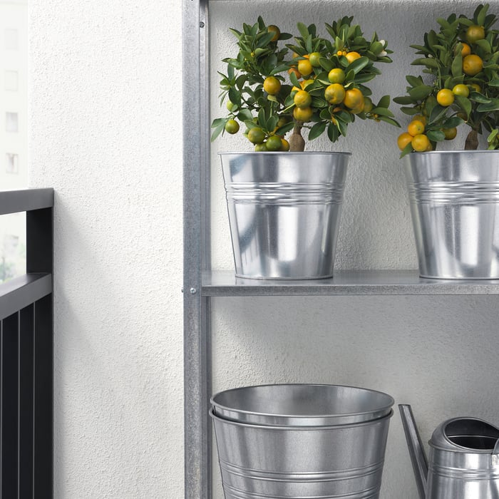 Blumen & Pflanzen für deine Grünoase IKEA Deutschland