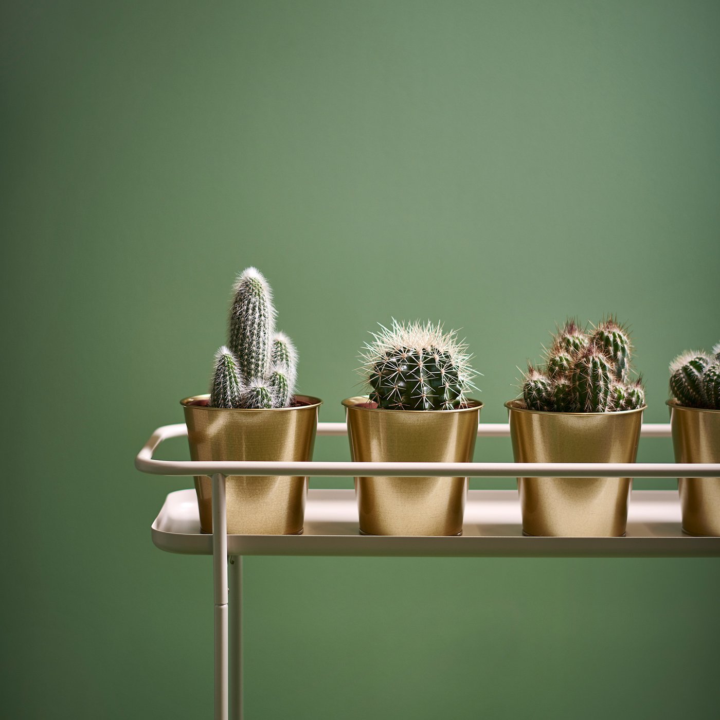 Thumbnail - IKEA DAIDAI Übertopf messingfarben 12 cm