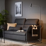 Modernes Wohnzimmer mit dunkelgrauem FAMMARP-Sofa, Kissen, Decke, Stehlampe und Pflanze.