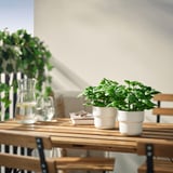 lechuza blumenkasten 50 Stone Balkonblumenkasten mit Bewässerungssystem 50 cm – Balconyliving.de