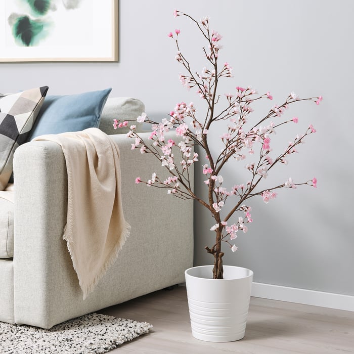 Blumen & Pflanzen für deine Grünoase IKEA Deutschland