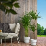 Hochmoderne, weiße FÖRENLIG-Pflanztöpfe halten saftig grüne Pflanzen auf der Terrasse neben gemütlichen gepolsterten Stühlen.