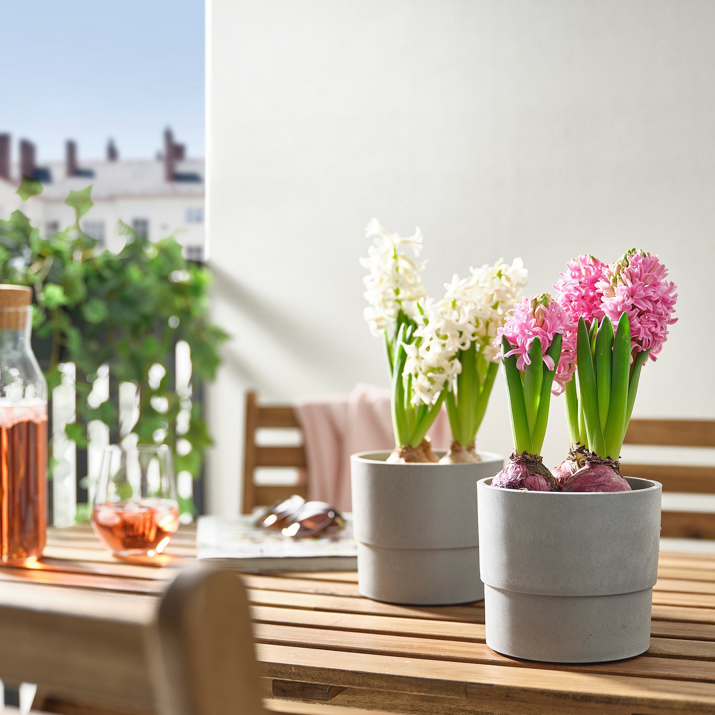 Thumbnail - IKEA HYACINTHUS Pflanze versch. Farben