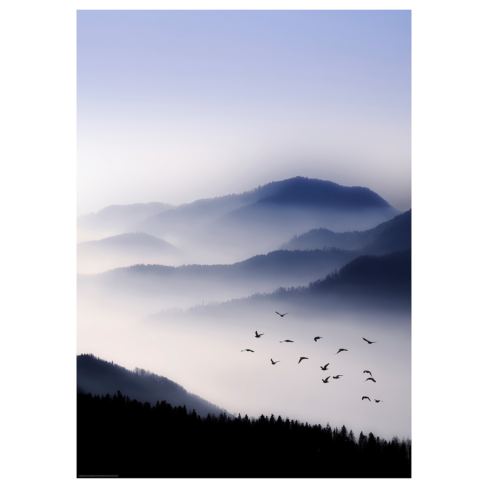 KATEBO Bild, Flieg davon, 50x70 cm - IKEA Deutschland