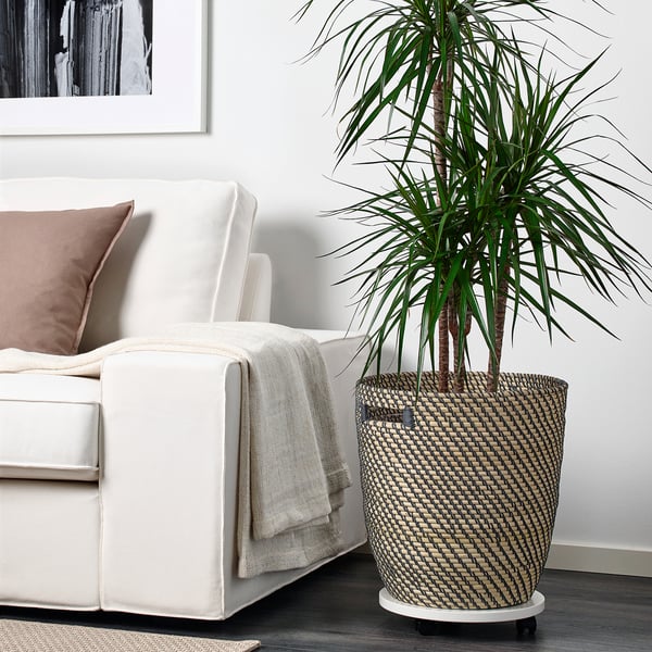 Wohnzimmer mit weißer Couch, geflochtenem Pflanzenkorb und hoher grüner Pflanze.