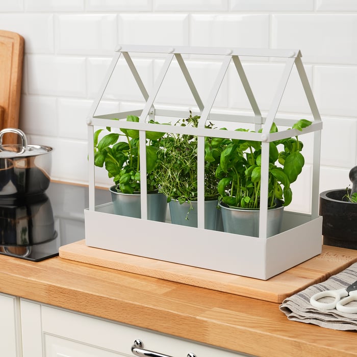 SENAPSKÅL Deko-Gewächshaus, drinnen/draußen weiß, 34 cm - IKEA Deutschland