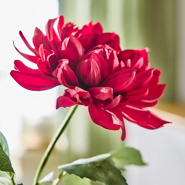 SMYCKA Kunstblume, drinnen/draußen Dahlie/rot, 67 cm