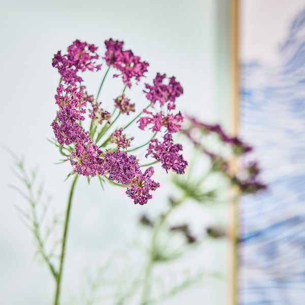 SMYCKA Kunstblume, drinnen/draußen Wiesenkerbel/lila, 65 cm