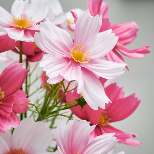 SMYCKA Kunstblumenstrauß, drinnen/draußen/Kosmea rosa, 50 cm