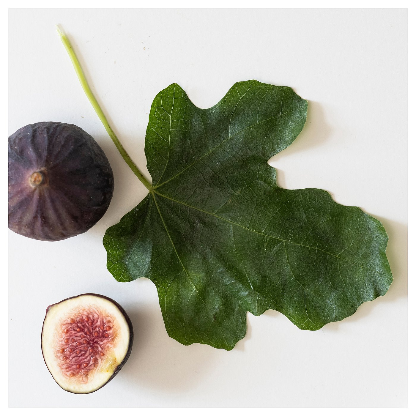 Thumbnail - IKEA TOFSTÄRNA Duftkerze im Glas, 2 Dochte Feigenblatt braun