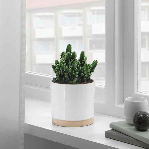 UPPVAKTA Übertopf weiß, naturfarben IKEA Deutschland