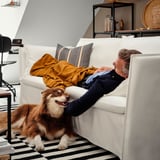 Person naps on comfortable, deep seat white sofa, dog relaxes beside the person.