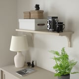 BERGSHULT shelf with baskets, camera, bag, lamp, magazine, and plant. Character count: 49