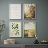 Four nature-themed framed artworks hang on a grey wall, complemented by a side table with decorative items.