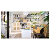 BILLY / HÖGADAL Bookcase with doors, white, 80x30x202 cm