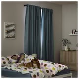 Cozy bedroom with person, dog, & multicolored dots bedding. Dark curtains, grey walls, & cabinet with frames & plant.