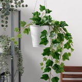 White hanging planter with green ivy, perfect for indoor/outdoor, adds greenery to small spaces.