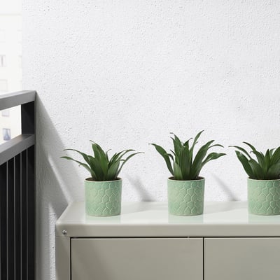Three green plant pots with leaf patterns hold small plants on a countertop.