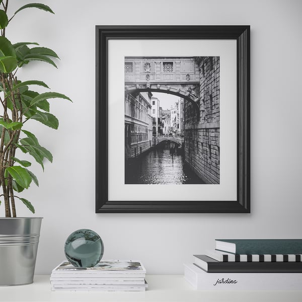 Framed black and white venetian bridge and canal on wall, with houseplant and books below.