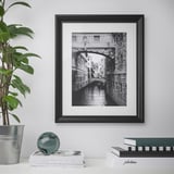 Framed black and white venetian bridge and canal on wall, with houseplant and books below.