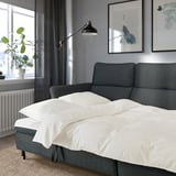 Modern gray FAMMARP sofa with adjustable in stylish room.