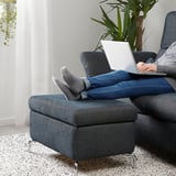 Person on FAMMARP sofa using laptop, plant nearby.