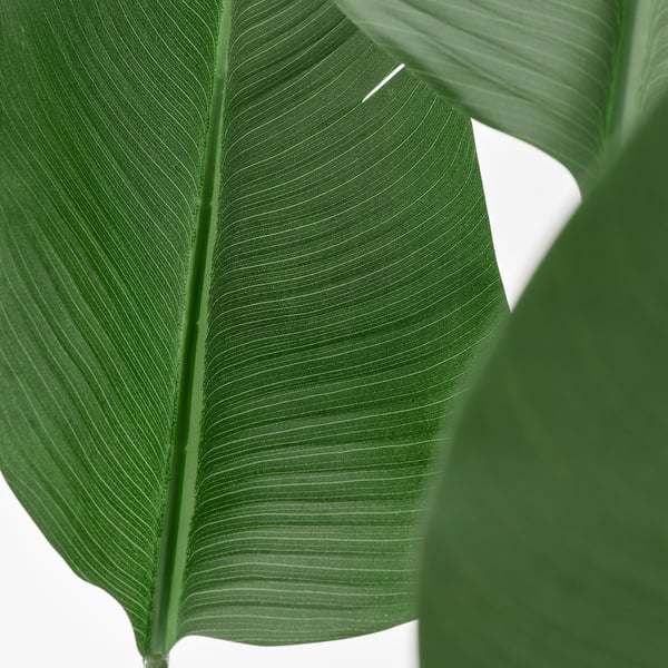 Lush, vibrant artificial leaf. Intricate veins; lifelike texture.