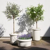 FEJKA potted plants: white ceramic pots with green plants & purple flowers