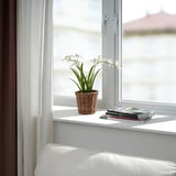 Window sill with a white armchair, a potted FEJKA artificial orchid, and a stack of magazines.
