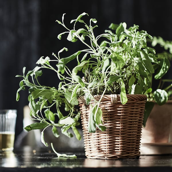 Woven basket with herbs.