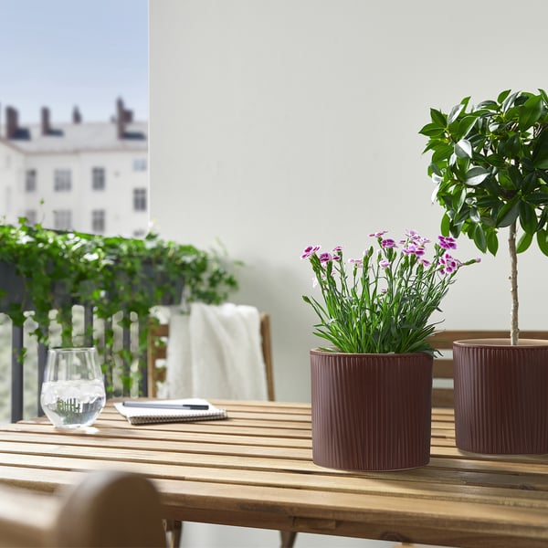 Two ribbed brown pots with purple flowers and green plants on a table with a wine glass and smartphone, white building background.