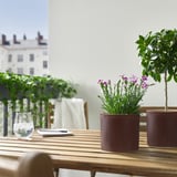 Two ribbed brown pots with purple flowers and green plants on a table with a wine glass and smartphone, white building background.