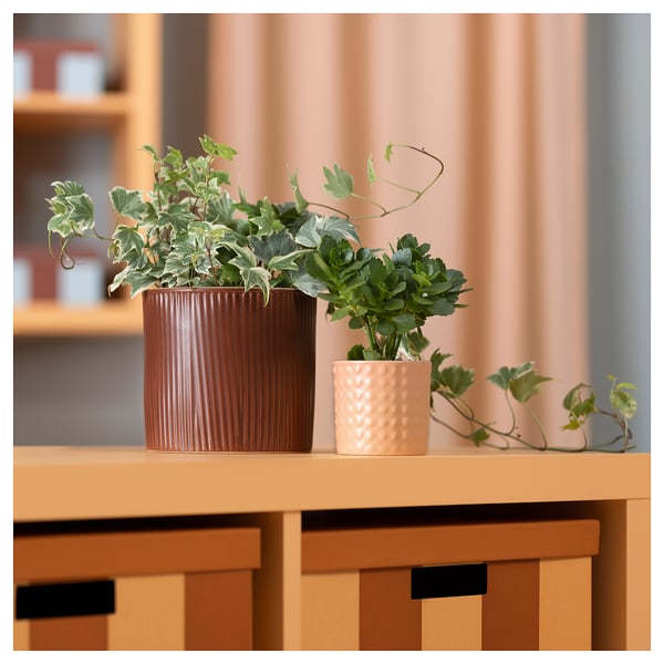 Two plants in decorative pots: brown ribbed and peach textured, on wooden shelf.