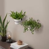 White wall-mounted plant pots with green plants.