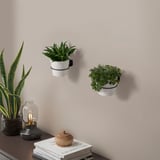 Wall-mounted plant holders with green plants; snake plant and lamp on books.