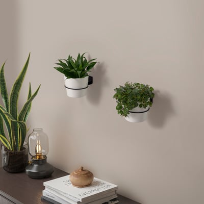 Wall-mounted plant holders with green plants; snake plant and lamp on books.