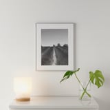 Black-and-white art, lamp, plant on shelf.