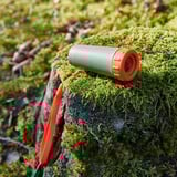 Green and orange mini monocular rests on moss-covered tree branch. Durable, compact design ideal for outdoor use.