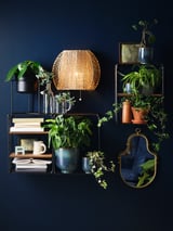 Wall-mounted shelves with various plants, books, and a woven lampshade against a dark blue wall.