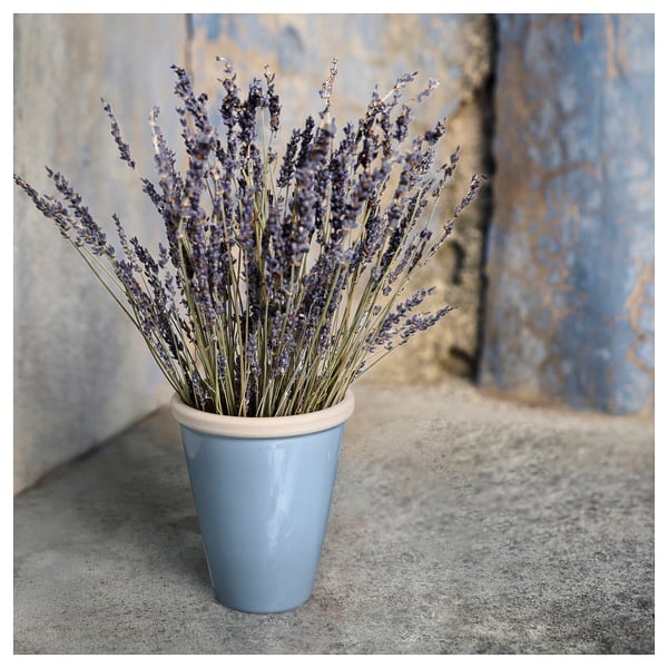 Small blue stoneware vase with light rim, holding purple flowers, on textured gray surface.