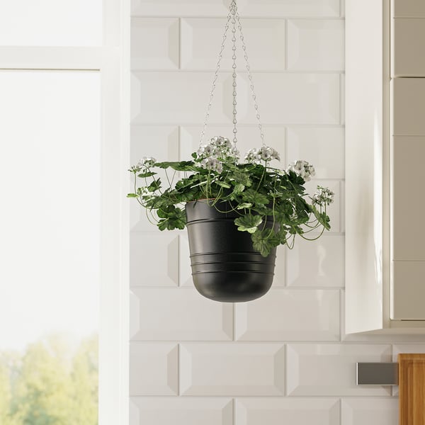 Hanging plant with white flowers, chain, white wall.