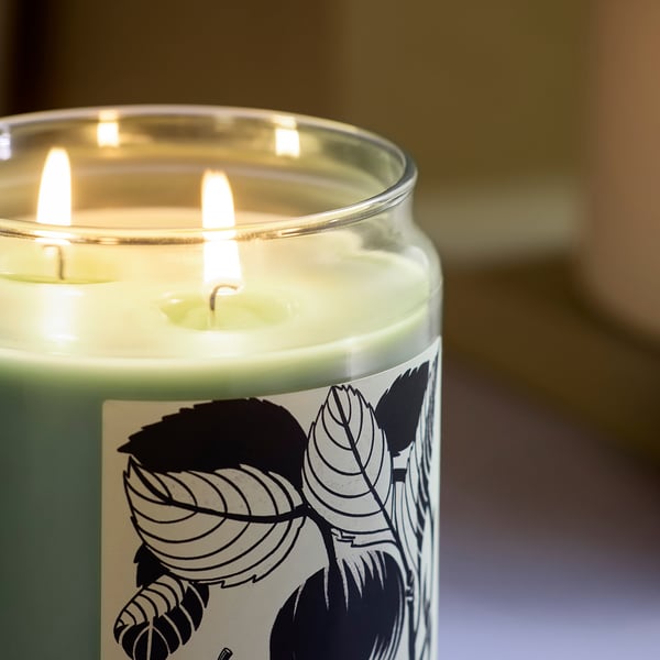 PRAKTHÄGER Scented candle/glass w lid/2 wicks, Apple light green, 100 hr