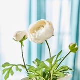 SMYCKA Artificial flower, in/outdoor Ranunculus/white, 52 cm