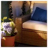 SOLLERÖN Armchair, outdoor, brown/Frösön/Duvholmen beige