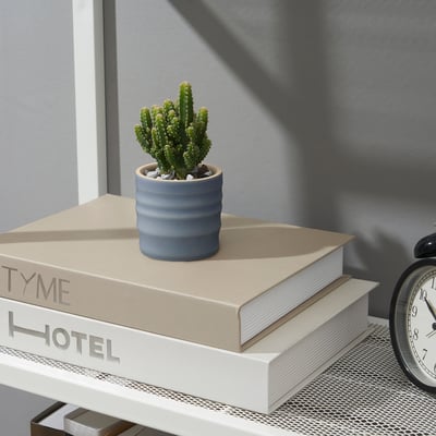 Small potted cactus on stacked books, bedside clock.