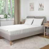 Modern bedroom with gray VATTAO mattress, white pillows, abstract art, rug, nightstand with lamp, plant, and large green view.