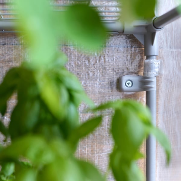 Aspern mini drivhus, grå, med klart dække, grønne planter i forgrunden.