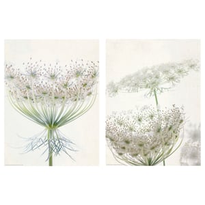 To delikate botaniske print af hvide blomster på lys beige papir, arrangeret side om side.