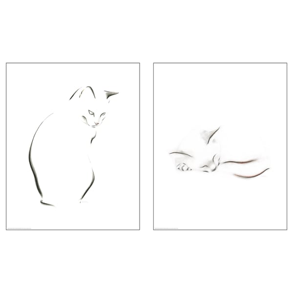 To minimalistiske katteplakater, sort og hvid. Enkelt stregtegningsdesign, ufarvet. BILD-mærket, trykt på papir.