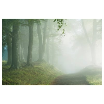 BILD plakat, gennemsigtig skovtågescene, grønne og hvide toner, rektangulære.